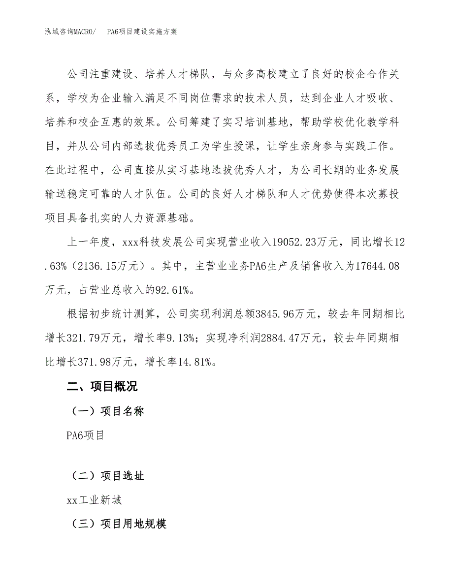 PA6项目建设实施方案.docx_第2页