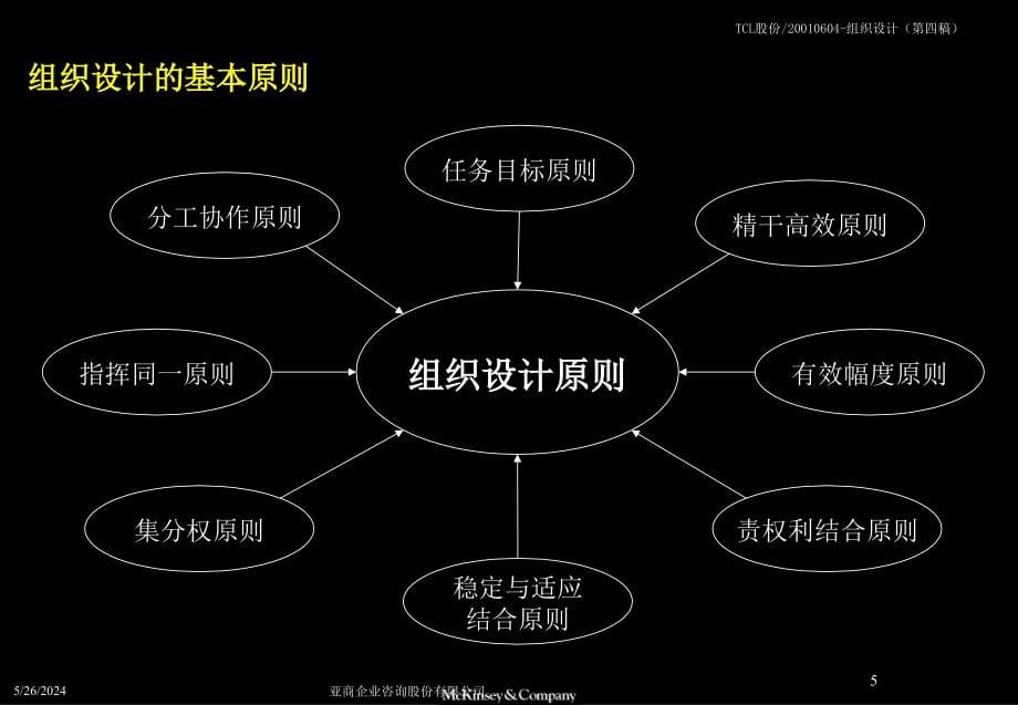 【咨询报告】麦肯锡-tcl股份有限公司管理整合咨询-组织设计方案报告-146页_第5页