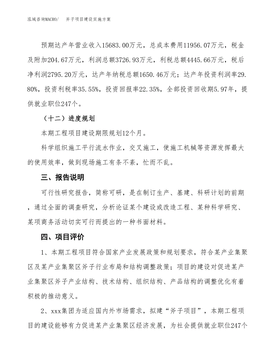 斧子项目建设实施方案.docx_第4页