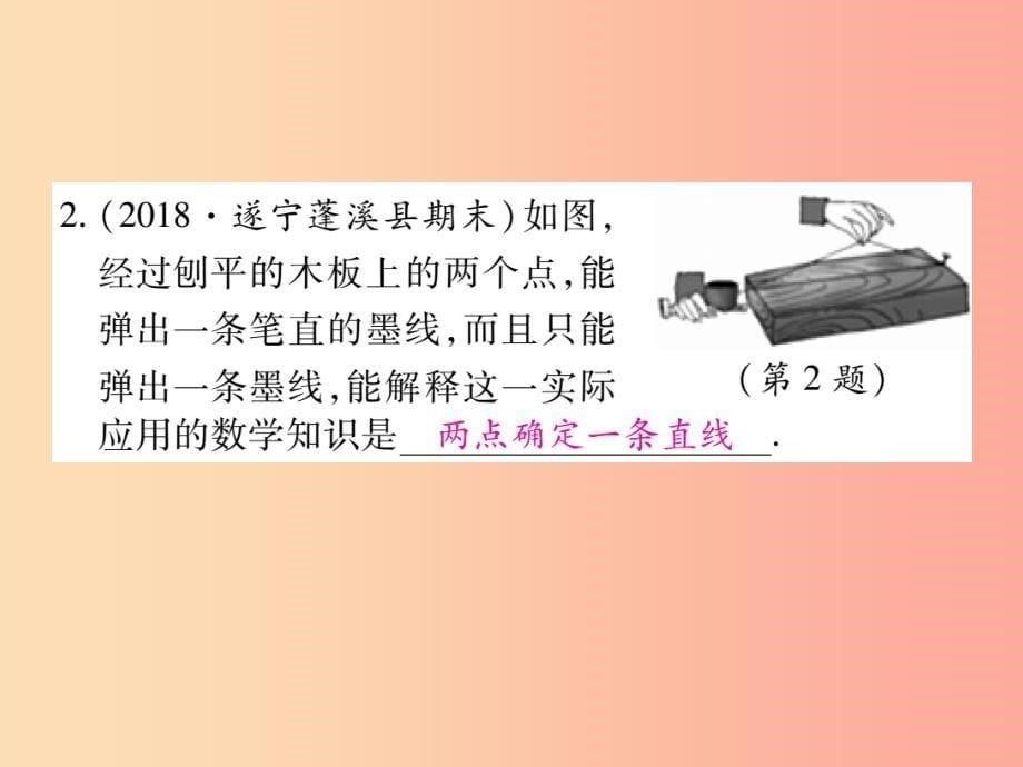 七年级数学上册 第四章 几何图形初步 4.2 直线、射线、线段 第1课时 直线、射线、线段的初步认识作业_第5页