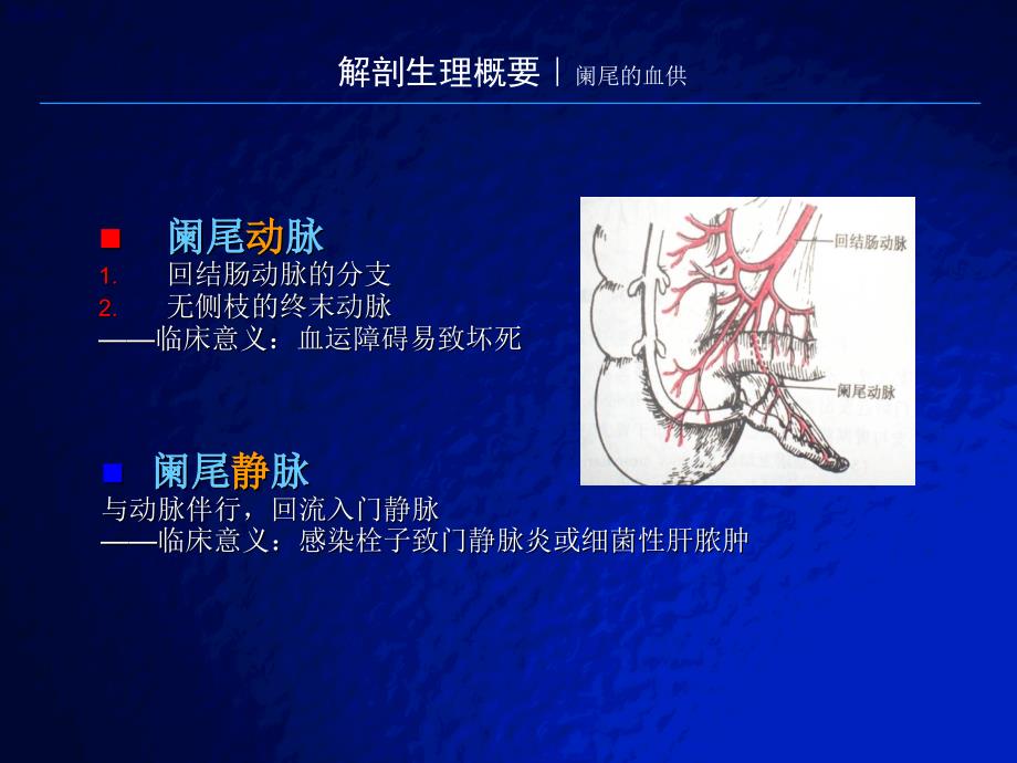 急性阑尾炎_第4页