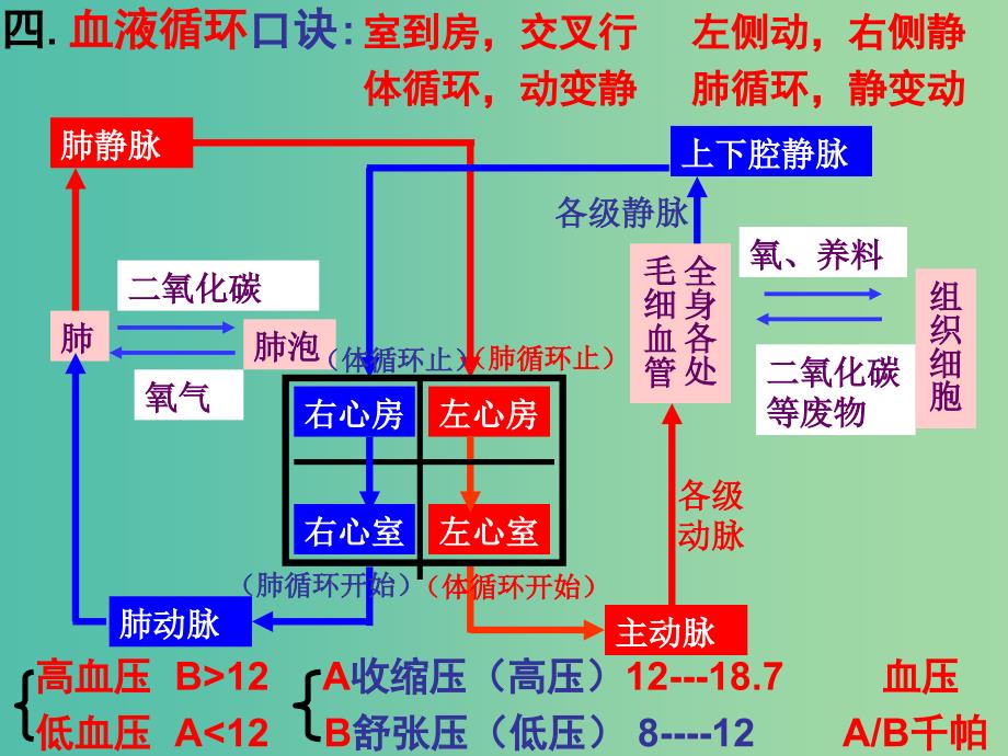 中考生物10维持生物体的平衡复习课件_第3页