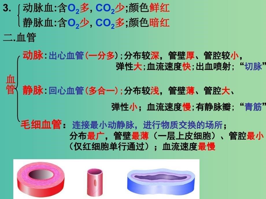 中考生物10维持生物体的平衡复习课件_第5页