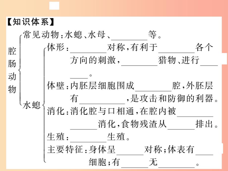 2019年八年级生物上册第五单元第一章第一节腔肠动物和扁形动物习题课件 新人教版_第2页