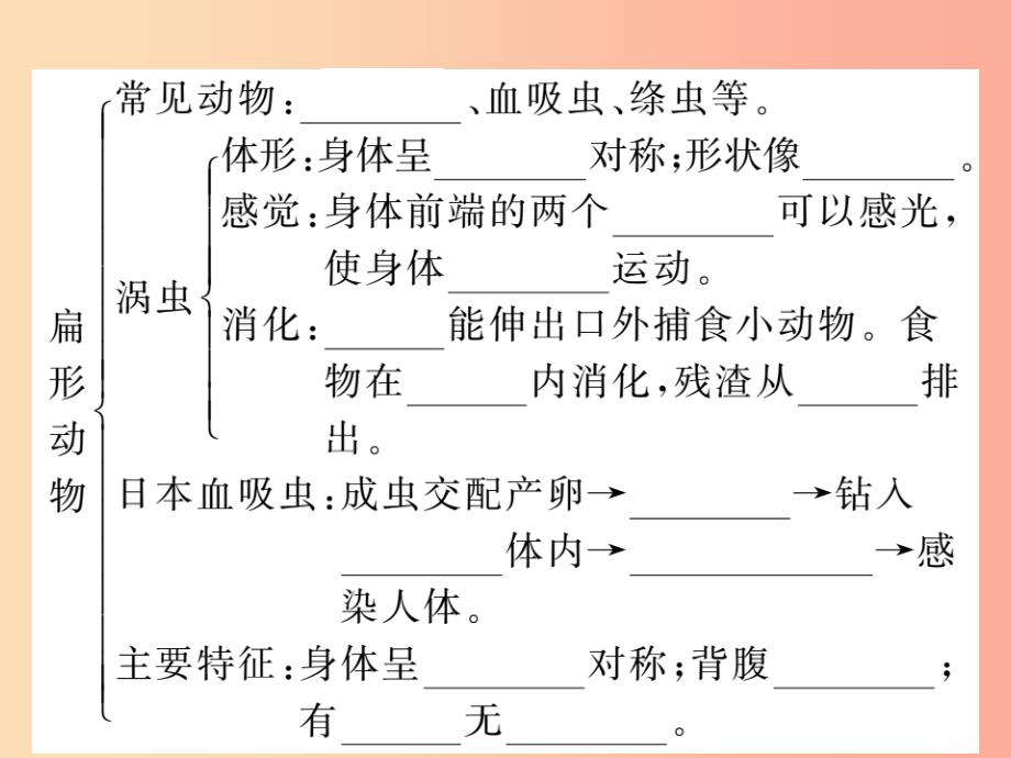 2019年八年级生物上册第五单元第一章第一节腔肠动物和扁形动物习题课件 新人教版_第3页