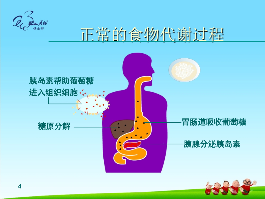 糖尿病健康知识讲座精品_第4页