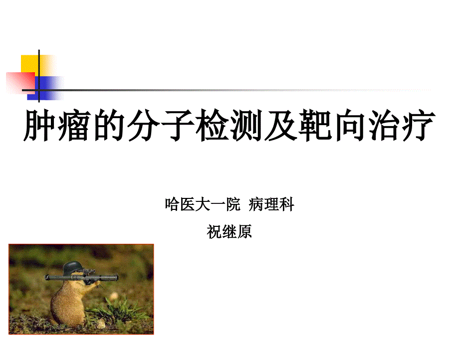 2015肿瘤的分子检测及靶向治疗.ppt_第1页