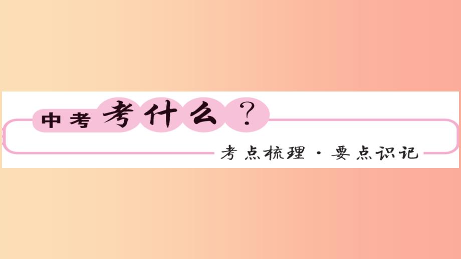 2019年中考化学总复习 第一轮复习 系统梳理 夯基固本 第23讲 氢氧化钠氢氧化钙变质的探究课件_第2页