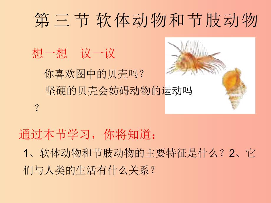 八年级生物上册 5.1.3《软体动物和节肢动物》课件2新人教版_第2页