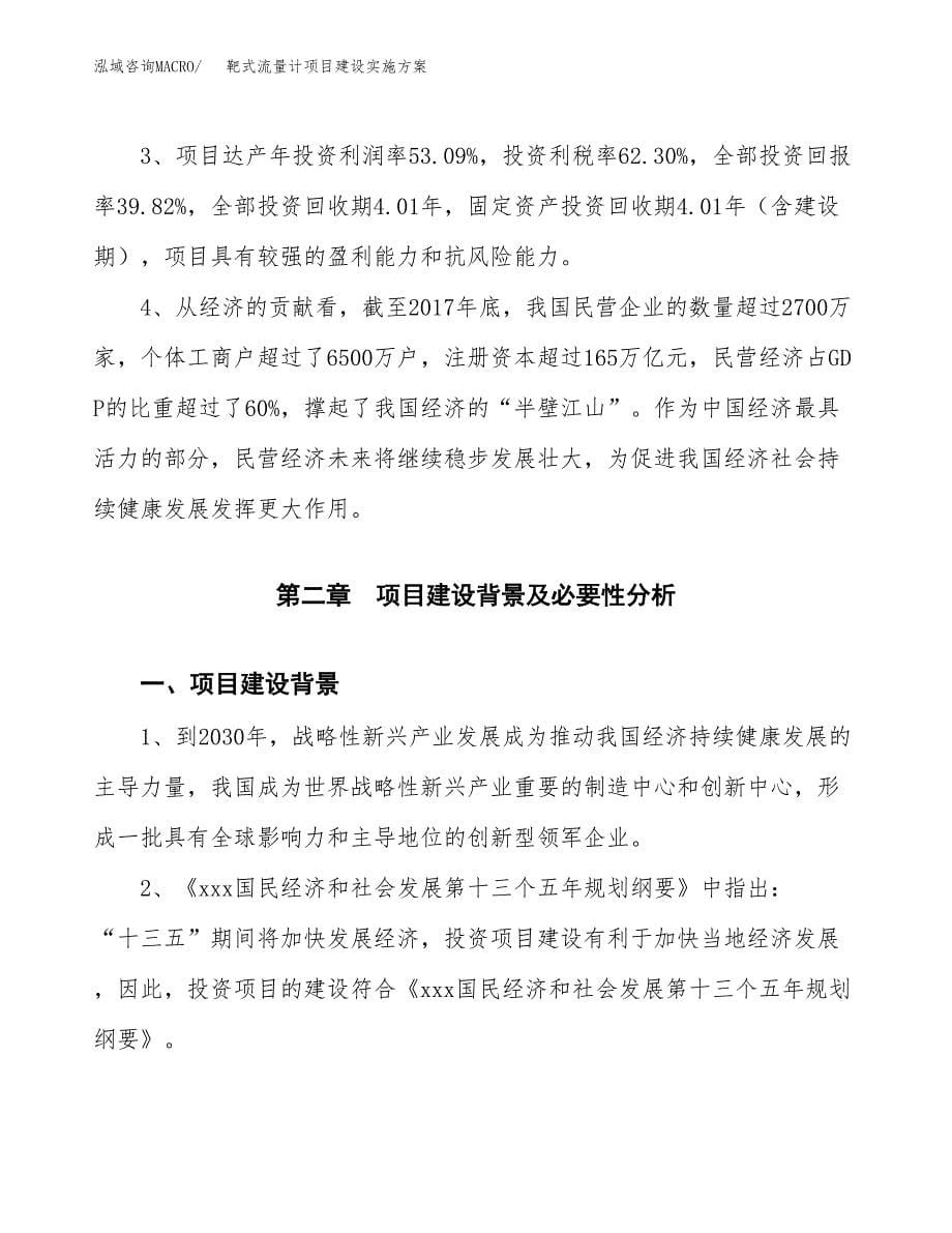 靶式流量计项目建设实施方案.docx_第5页