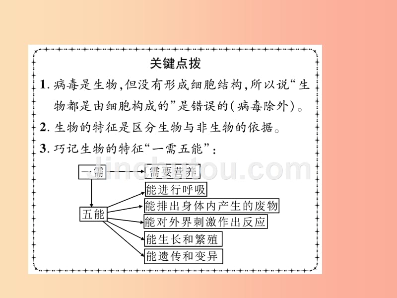 2019年七年级生物上册1.1.1生物的特征习题课件 新人教版_第5页