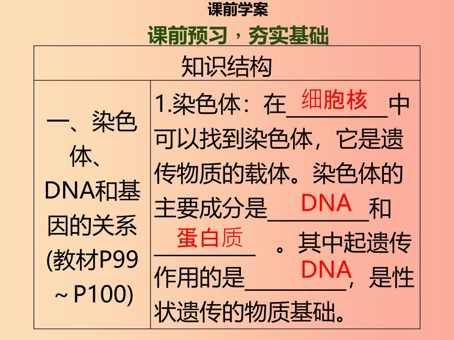 八年级生物上册第六单元第20章第2节性状遗传的物质基础习题课件（新版）北师大版_第3页