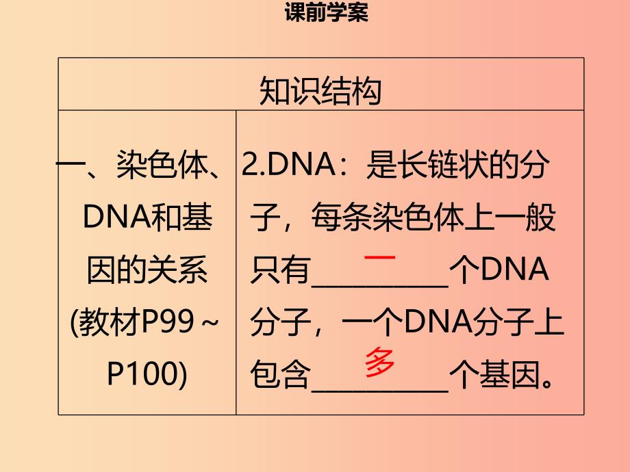 八年级生物上册第六单元第20章第2节性状遗传的物质基础习题课件（新版）北师大版_第4页