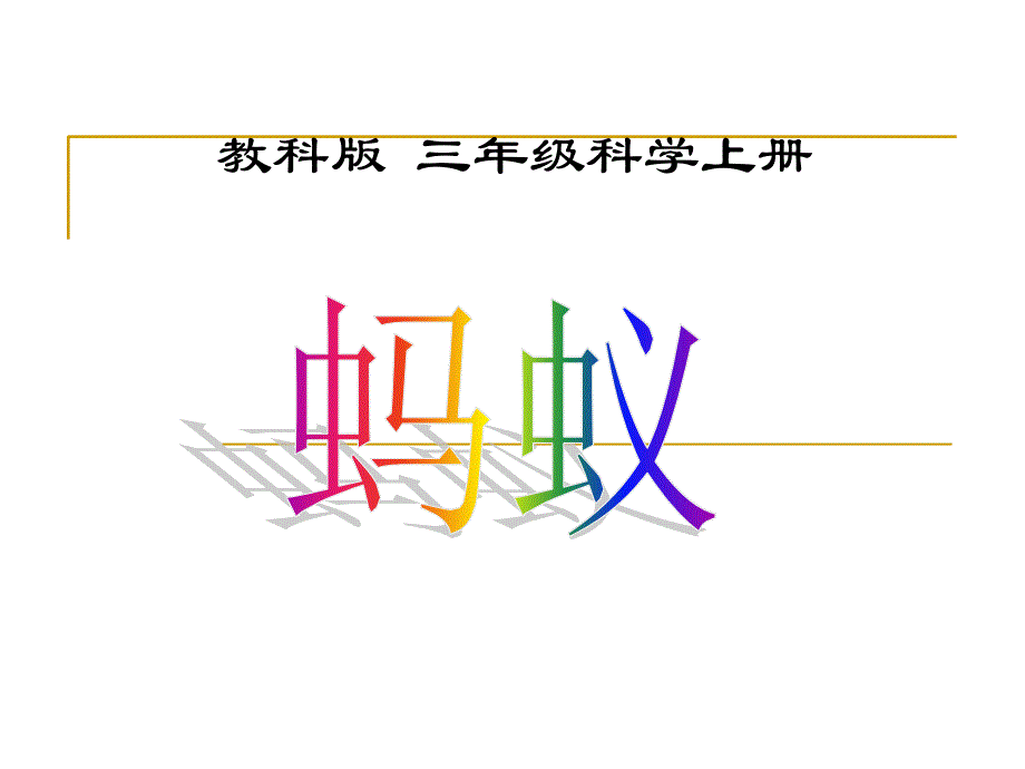 三年级科学上蚂蚁课件.ppt_第1页