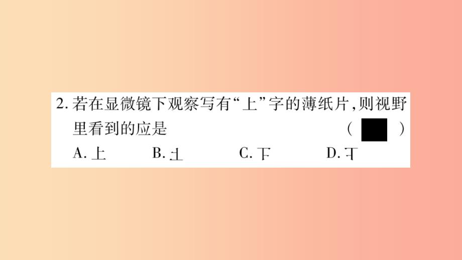 2019年七年级生物上册第2单元生物体的结构期末复习习题课件（新版）北师大版_第3页