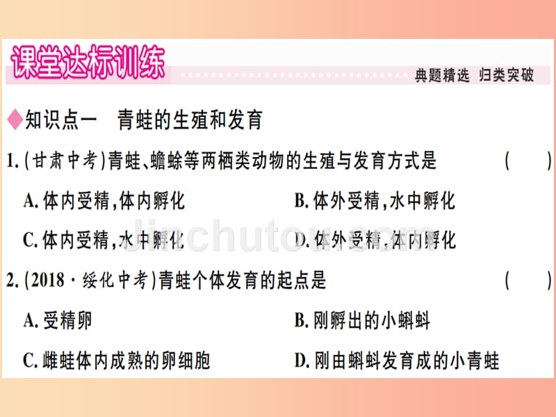 2019春八年级生物下册 第七单元 第一章 第三节 两栖动物的生殖和发育习题课件新人教版_第5页