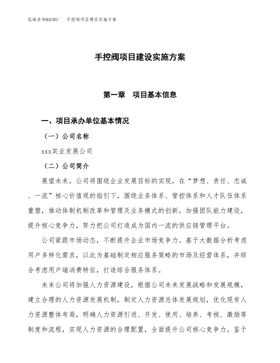 手控阀项目建设实施方案.docx_第1页