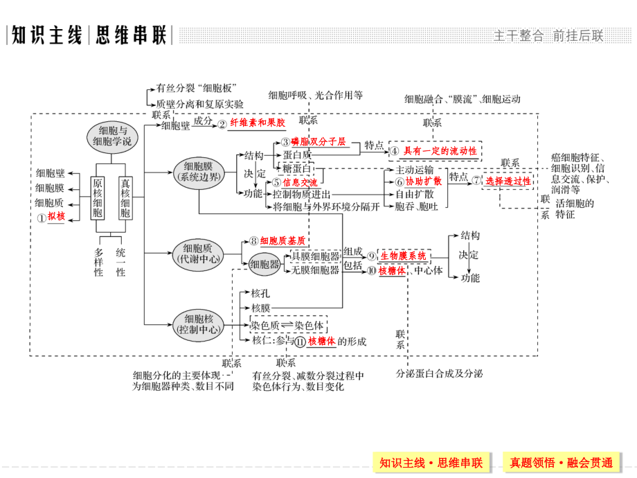 2018届高三生物二轮复习专题二细胞结构基础_第2页