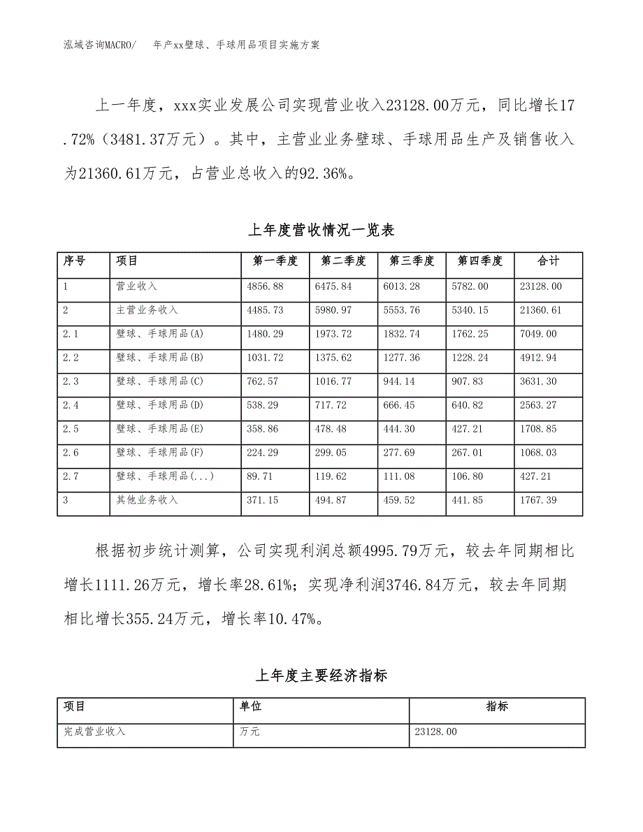 年产xx壁球、手球用品项目实施方案模板.docx_第2页