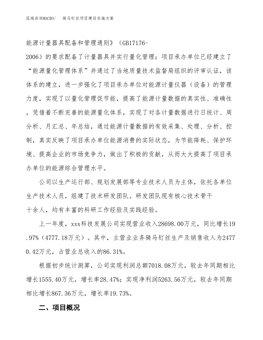 骑马钉丝项目建设实施方案.docx_第2页