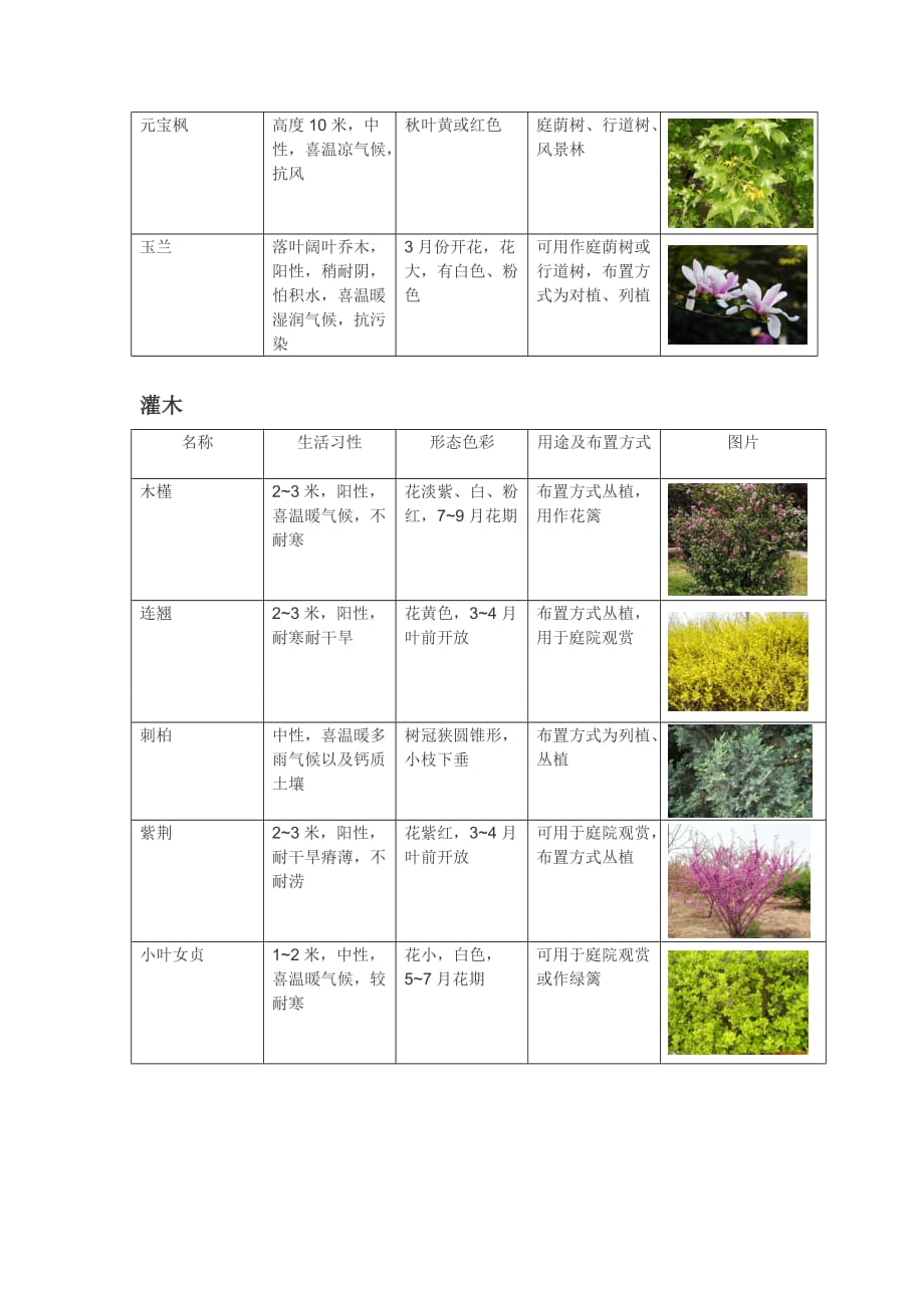 北京植物园调研报告资料_第2页