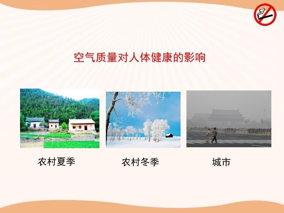 《呼吸保健与急救》教学课件(26张ppt).ppt_第5页