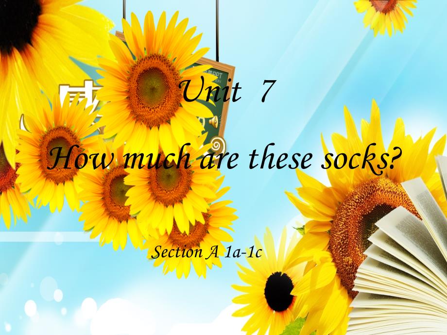 how-much-are-these-socks-公开课课件.ppt_第1页