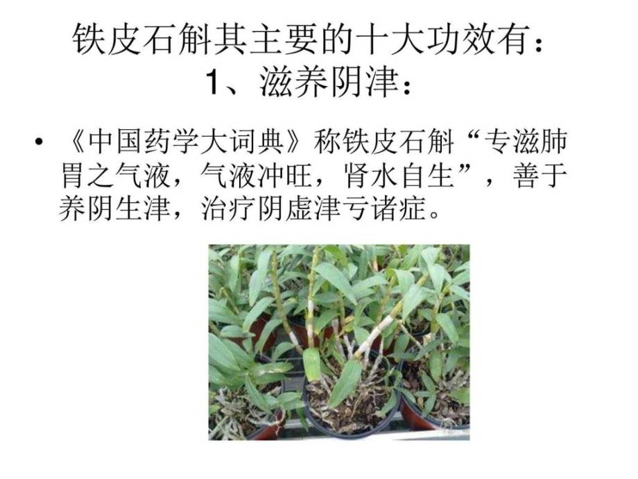 救命仙草铁皮石斛中医中药医药卫生专业资料_第4页