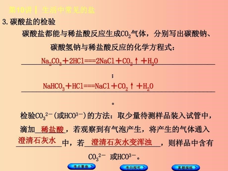 河北专版2019年中考化学复习第10课时生活中常见的盐课件_第5页