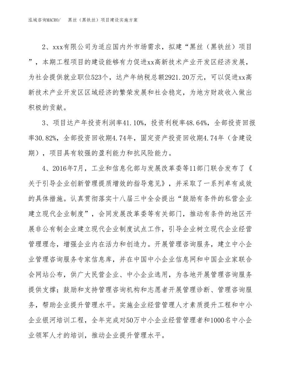 黑丝（黑铁丝）项目建设实施方案.docx_第5页