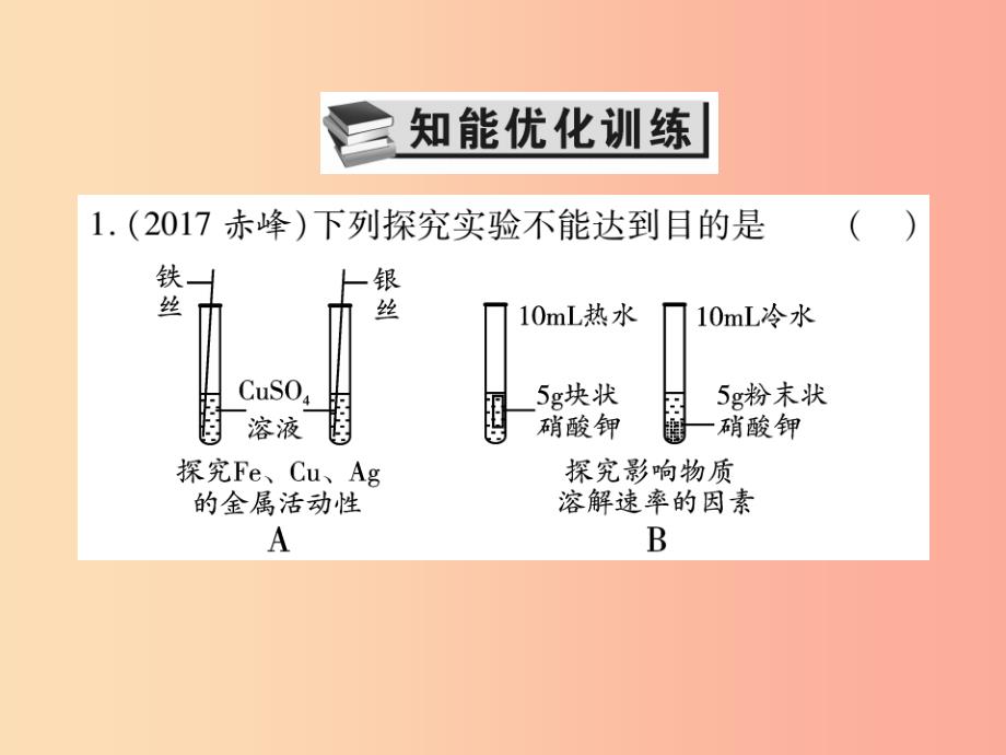 2019中考化学一轮复习 第一部分 基础知识复习 第三章 化学实验 第4讲 实验与科学探究（精练）课件_第2页