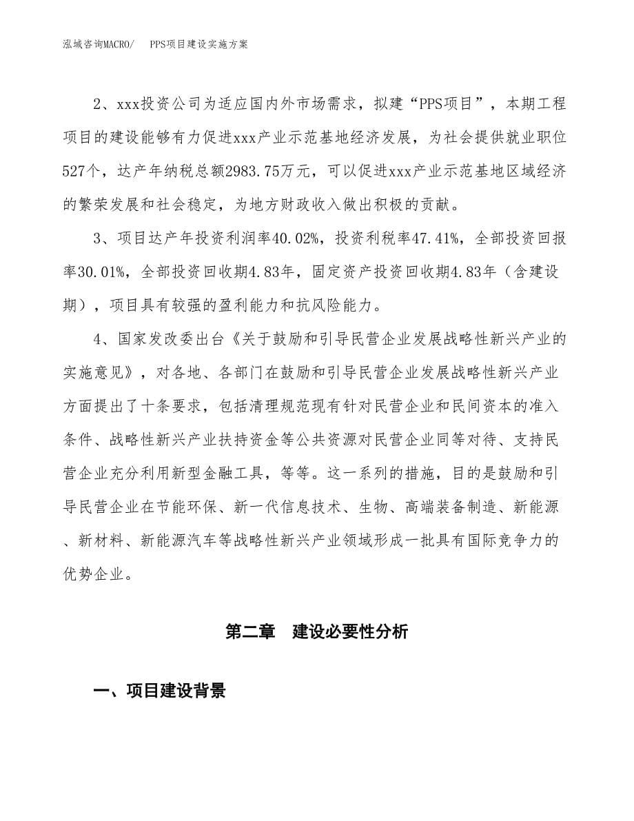 PPS项目建设实施方案.docx_第5页