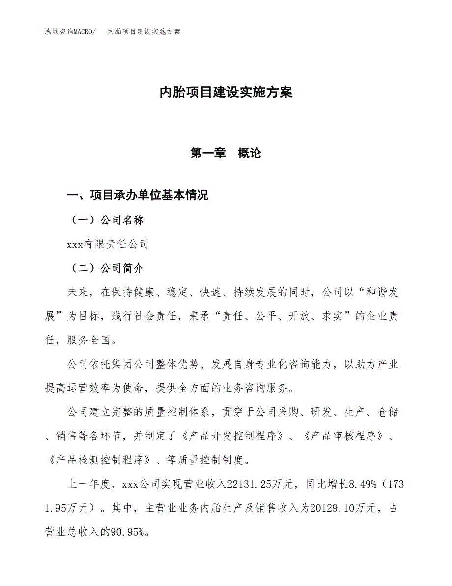 内胎项目建设实施方案.docx_第1页