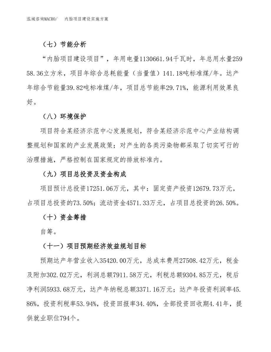 内胎项目建设实施方案.docx_第3页