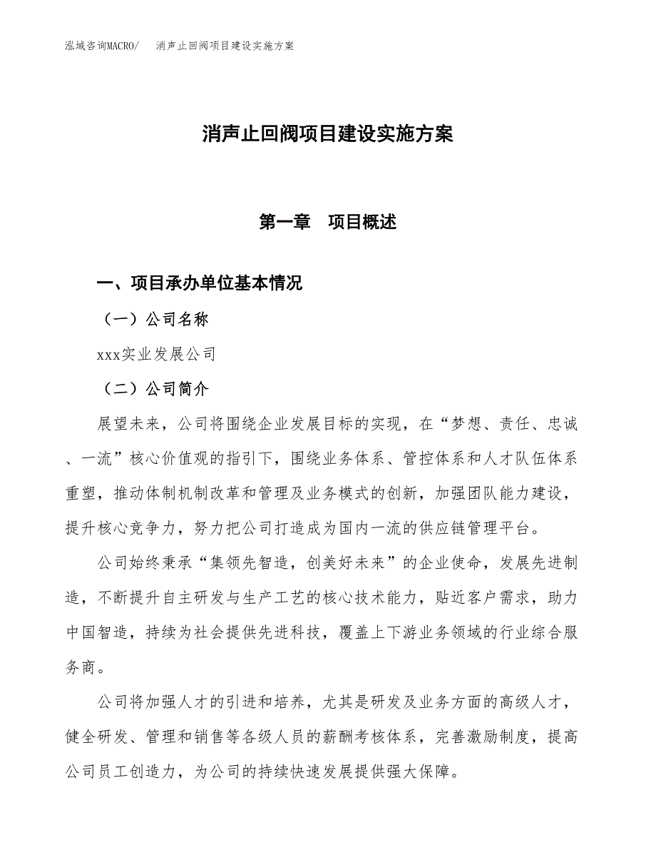 消声止回阀项目建设实施方案.docx_第1页