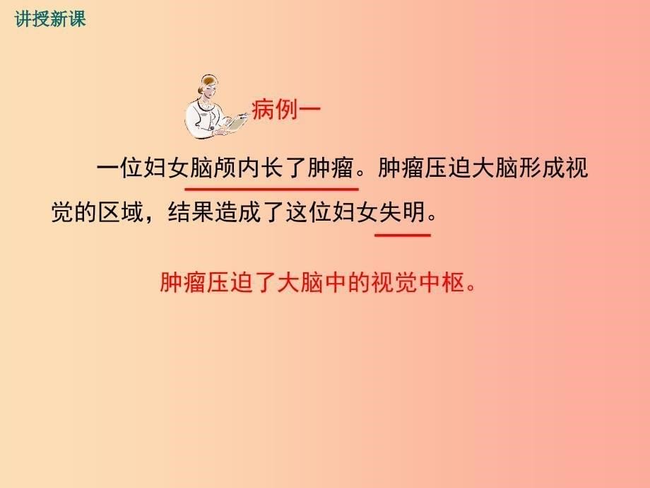 2019年春七年级生物下册第四单元第六章第二节神经系统的组成课件 新人教版_第5页