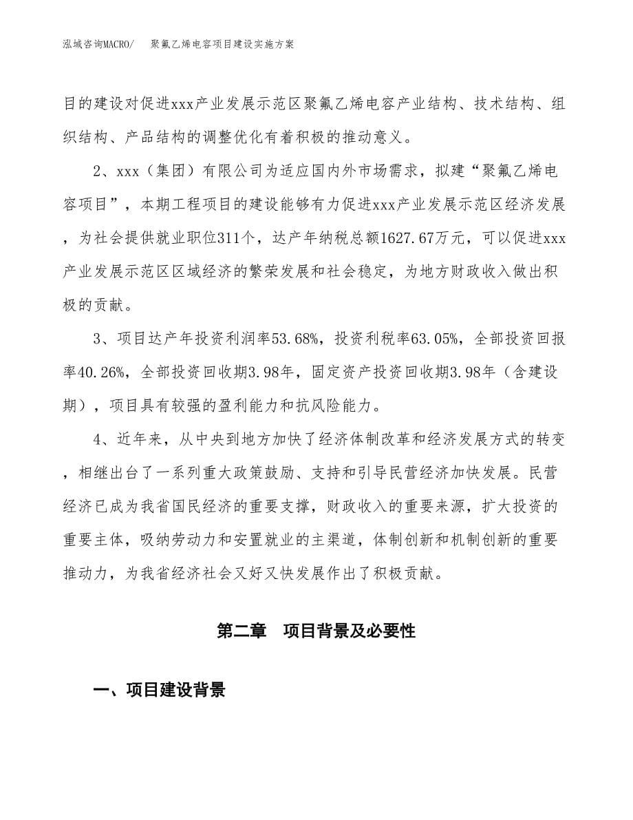 聚氟乙烯电容项目建设实施方案.docx_第5页