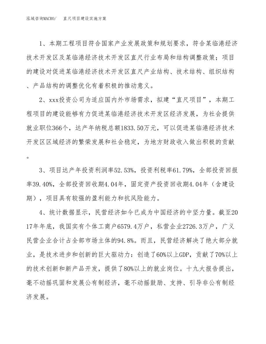 直尺项目建设实施方案.docx_第5页