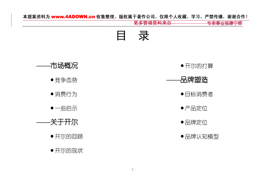 开尔服饰品牌建设建议书最新修正版_第3页