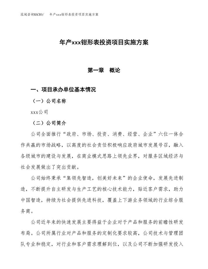 年产xxx钳形表投资项目实施方案.docx