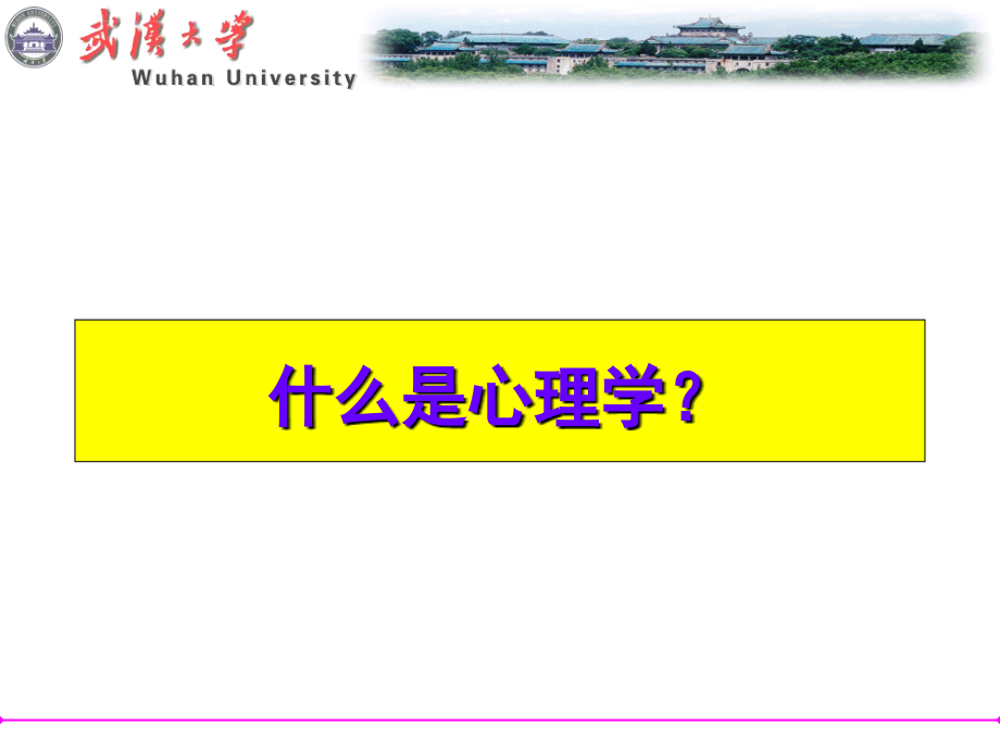 2010高等教育心理学.ppt_第3页