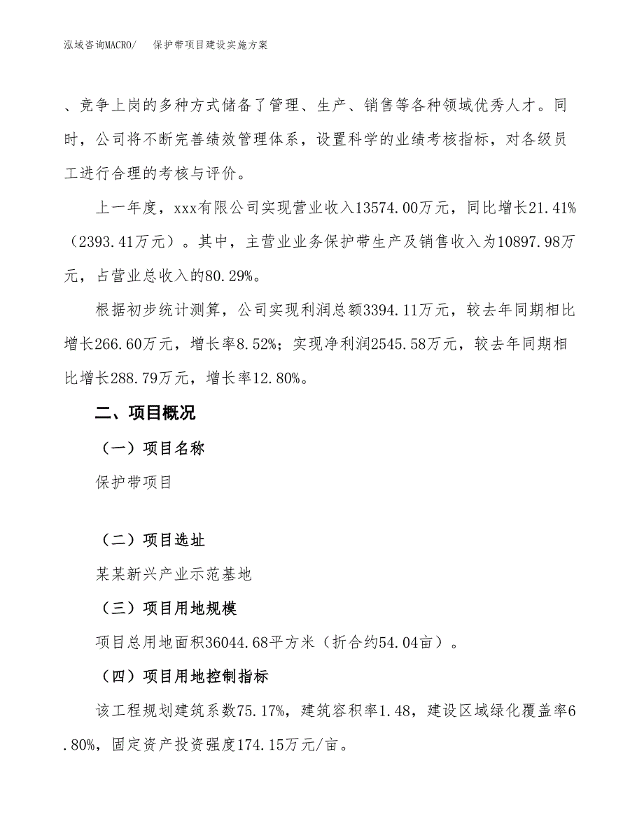 保护带项目建设实施方案.docx_第2页