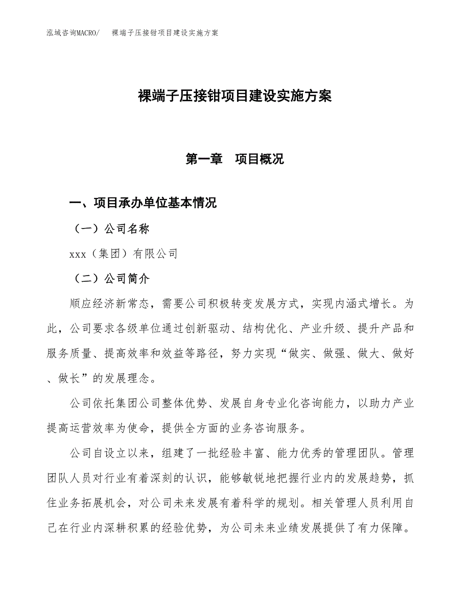 裸端子压接钳项目建设实施方案.docx_第1页