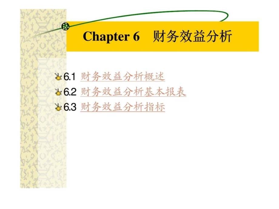 chapter6财务效益分析_第1页