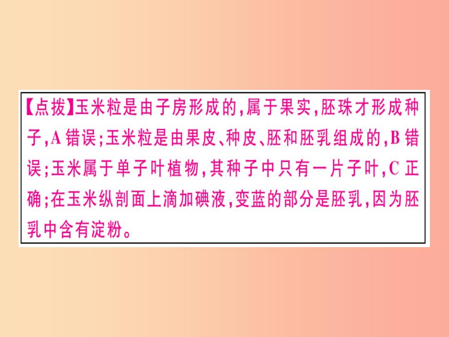 2019春八年级生物下册 专题复习三 绿色开花植物的一生习题课件（新版）北师大版_第3页