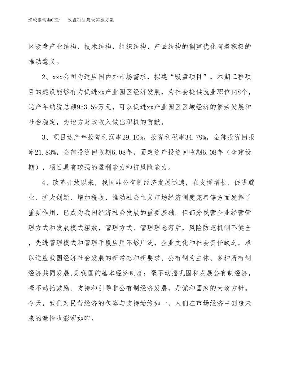 吸盘项目建设实施方案.docx_第5页