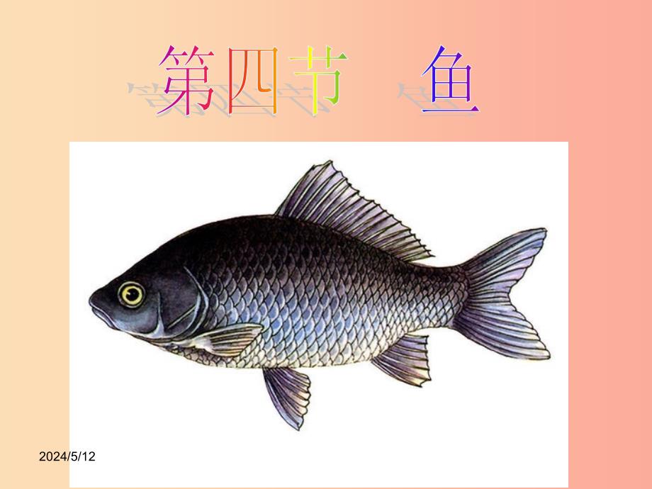 2019-2020年八年级生物上册 5.1.4鱼课件新人教版_第1页