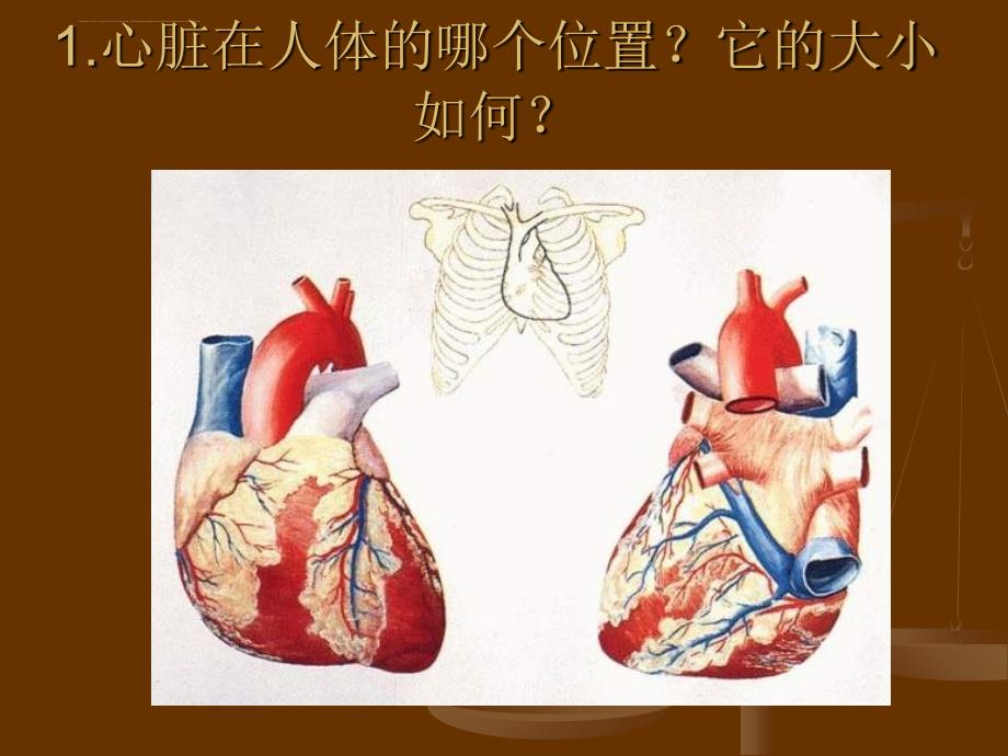 五年级上册科学课件－1.2 心脏和血管 湘教 版_第2页