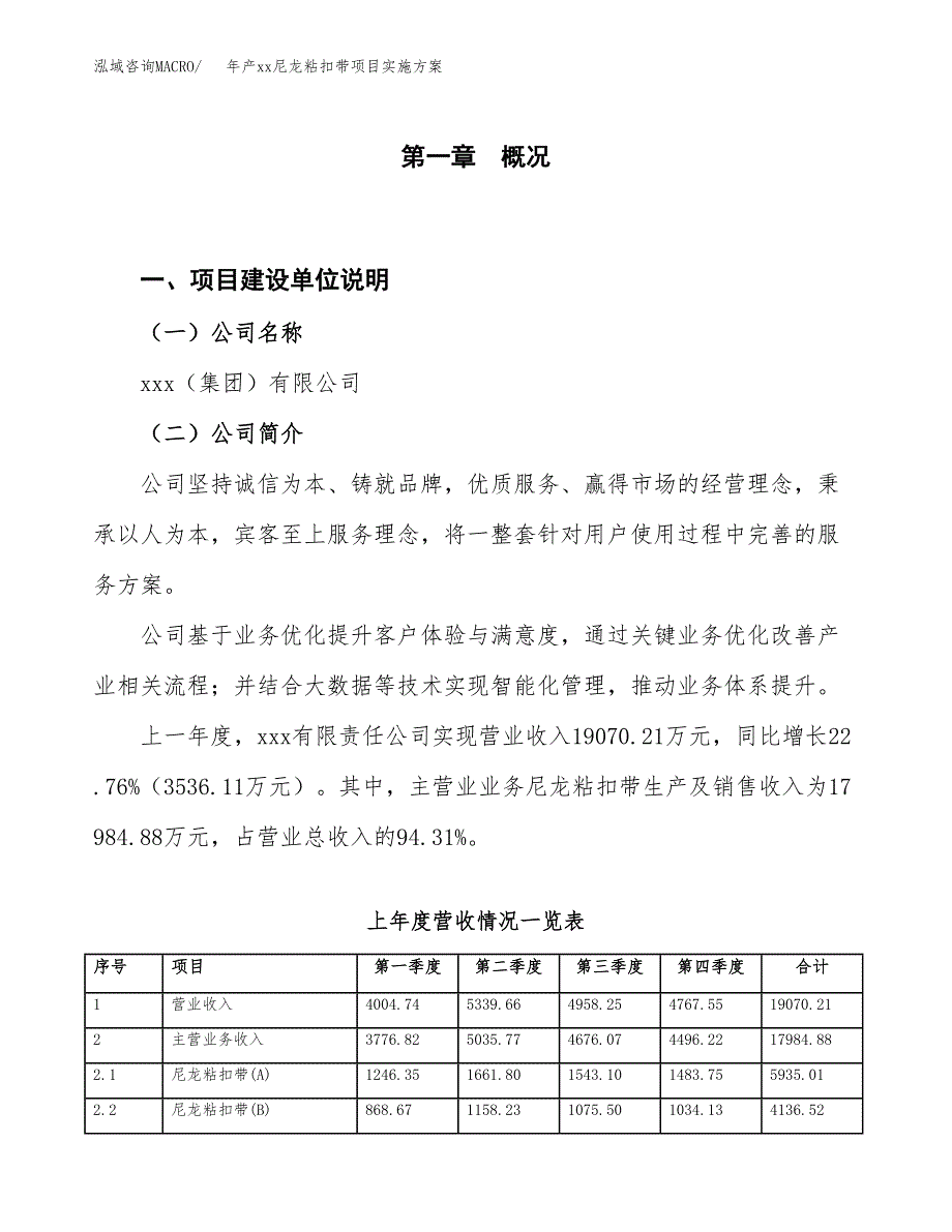 年产xx尼龙粘扣带项目实施方案模板.docx_第1页