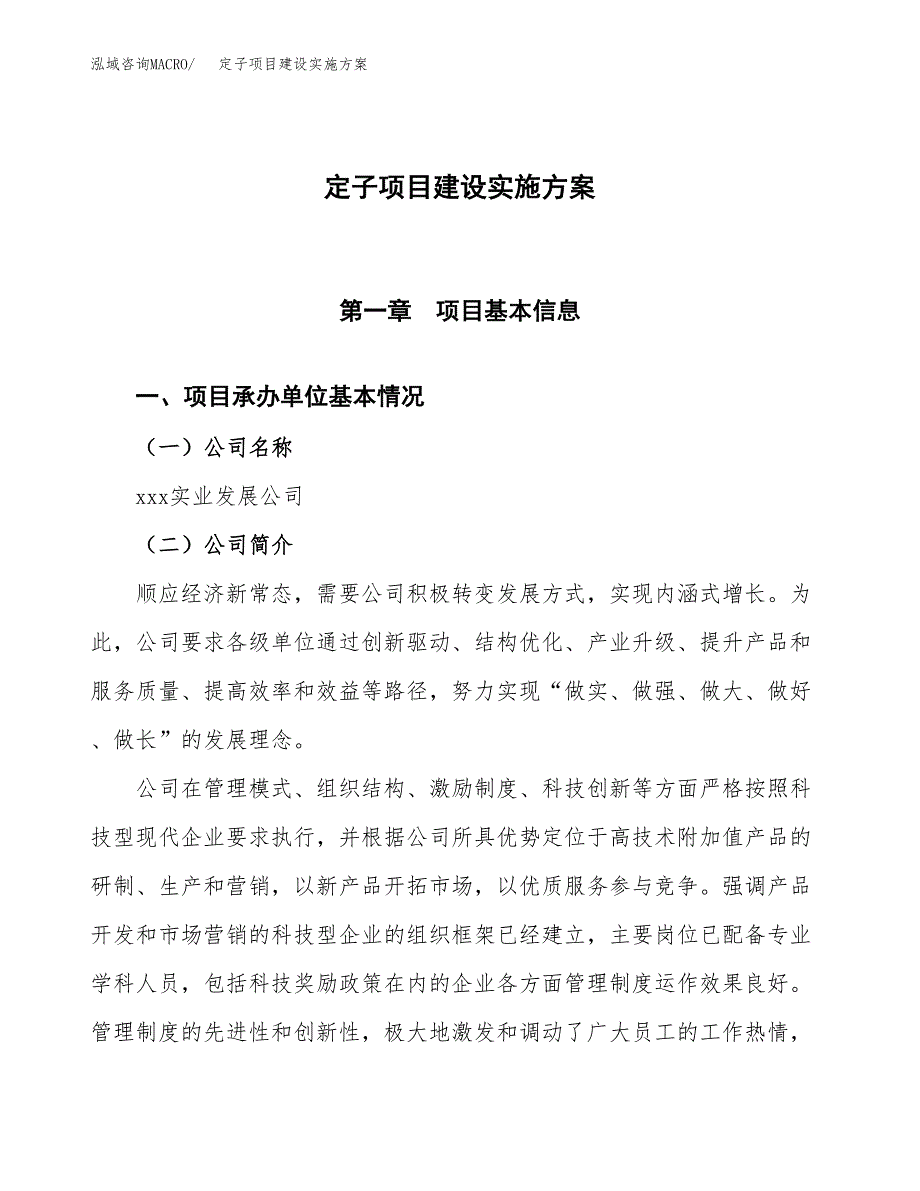 定子项目建设实施方案.docx_第1页